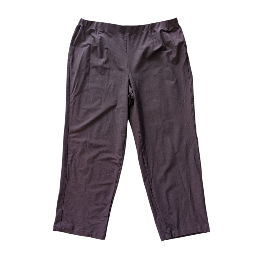 Eileen Fisher Crepe Pull On Ankle Length Pants